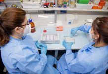 Fapeam vai abrir inscrições para programas de incentivo à pesquisa; acesse os editais