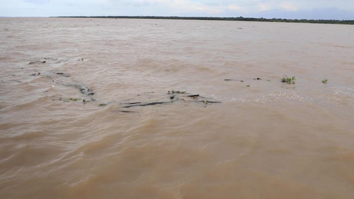 WhatsApp Image 2026-02-16 at 15.32.16