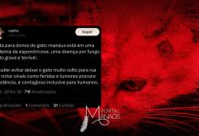 Alerta nas redes sociais sobre esporotricose mobiliza tutores em Manaus; FVS afirma que não há surto