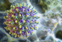 Sarampo volta a preocupar e coloca Brasil em estado de alerta máximo