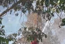 VEJA VÍDEO: Incêndio é registrado no Viver Melhor na tarde desta quinta-feira (13)